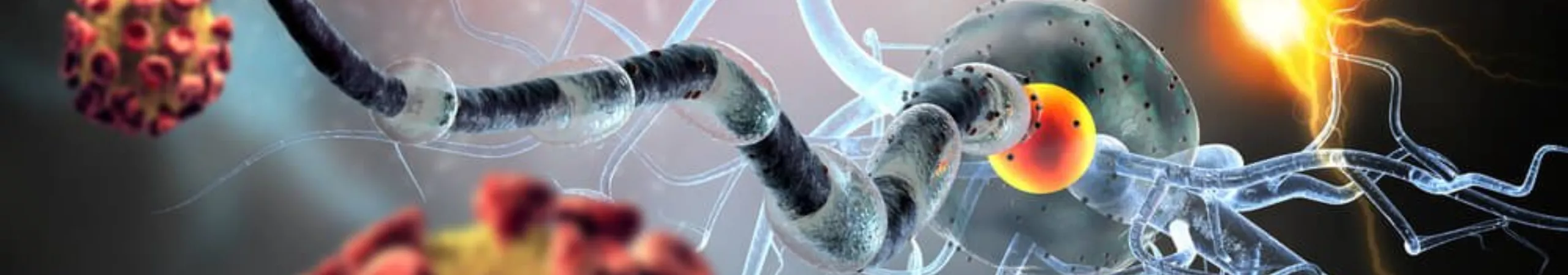 endocrinology-698053c4869e5