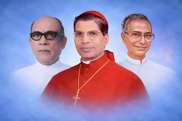 history-page-cardinal-website-69bd0f6e58fc3