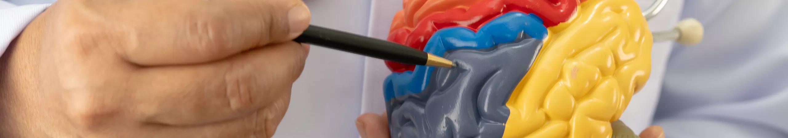 neurology-69b00b234b928