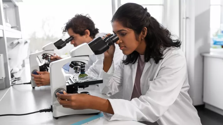 pathology-69afea00971a7