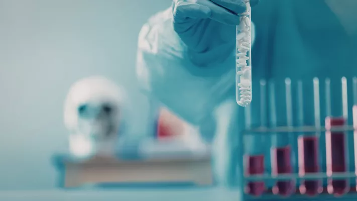 ptf-bottom-image-69b3ee737f0f4